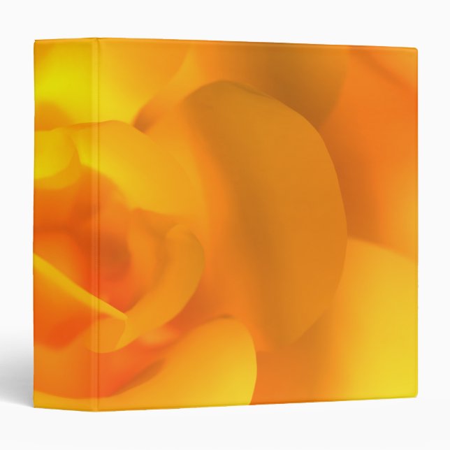 Classeur Rose (Devant/Côté)