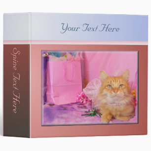 Classeur rose de Kitty de partie
