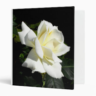 Classeur Rose de thé hybride blanc de Pascali