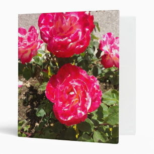 Classeur Roses du jardin rouge