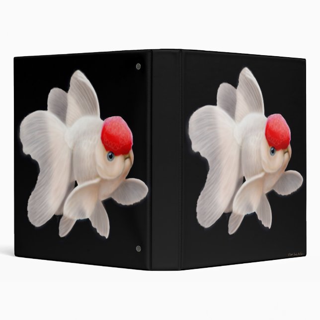 Classeur rouge de poisson rouge d'Oranda de (Arrière-plan)