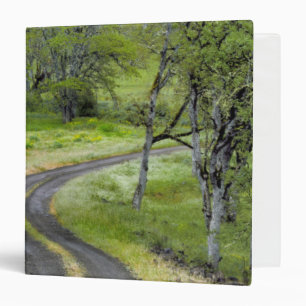 Classeur Route de campagne à travers les arbres, Oregon