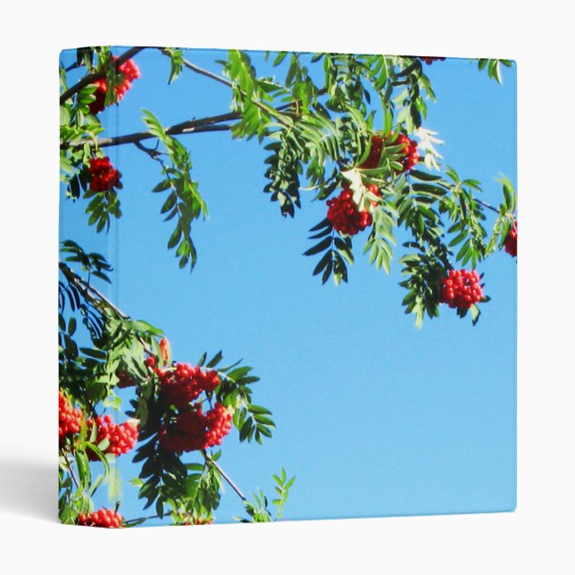 Classeur Rowan (Devant/Côté)