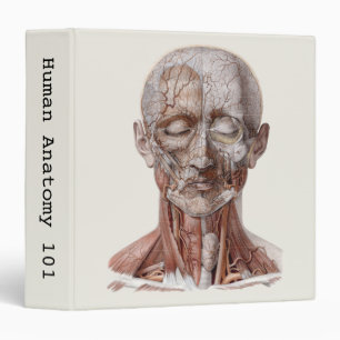 Classeur Science d'anatomie humaine vintage, tête gorge nez