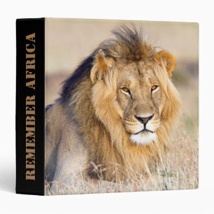 Classeur Se souvenir de l'Afrique Majestic lion photo