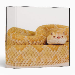 Classeur Serpent à sonnettes de dos en forme de losange