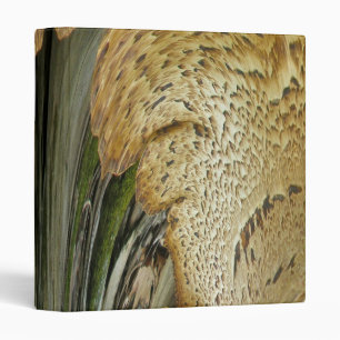 Classeur Shelf Fungus Abstrait