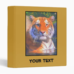 Classeur sibérien de Tiger