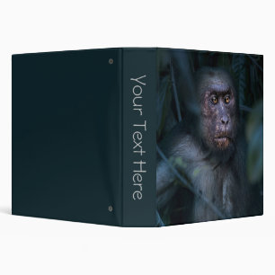 Classeur Singe dans la jungle