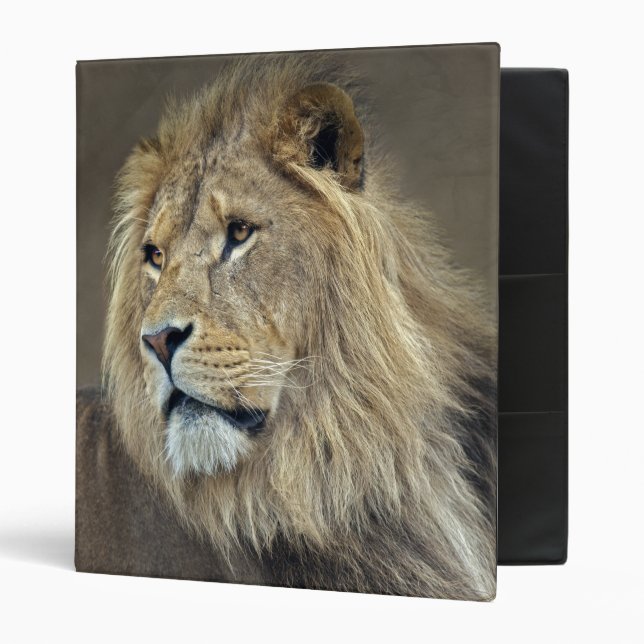 Classeur Sphinx Avery Binder (Devant/intérieur)