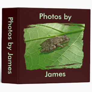 Classeur Spring Peeper Treefrog