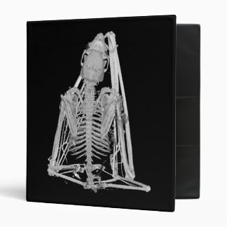 Classeur Squelette de chauve-souris gothique