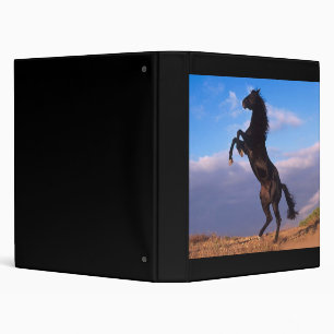 Classeur Stallion noir