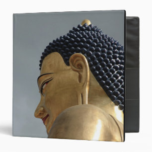 Classeur statue de Buddha Dordenma