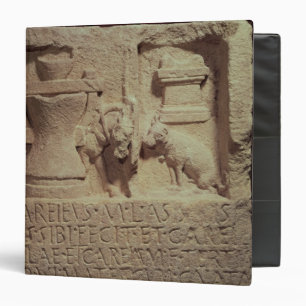 Classeur Stele du miller Marcus Careius Asisa