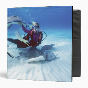 Classeur Stingray City, Grand Cayman, Îles Caïmans,