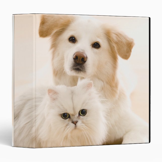 Classeur Studio photo de chat et chien (Devant/Côté)