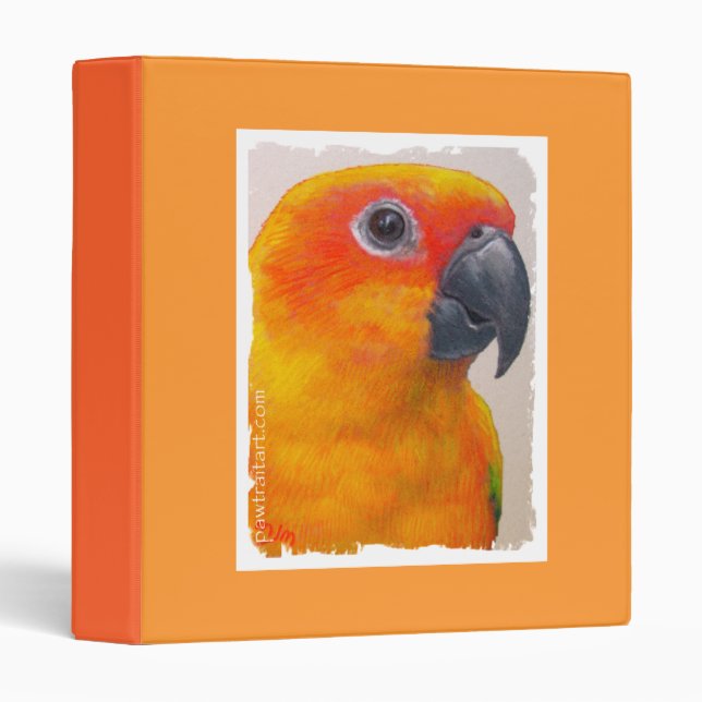 Classeur - Sun Conure (Devant/Côté)