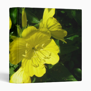 Classeur Sundrops (Primrose)