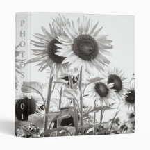 Sunflower Black and White Fine Art Album photo