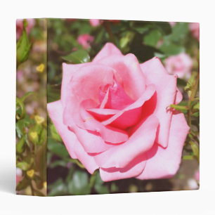 Classeur Superbe rose rose fleur et coeur doux mariage