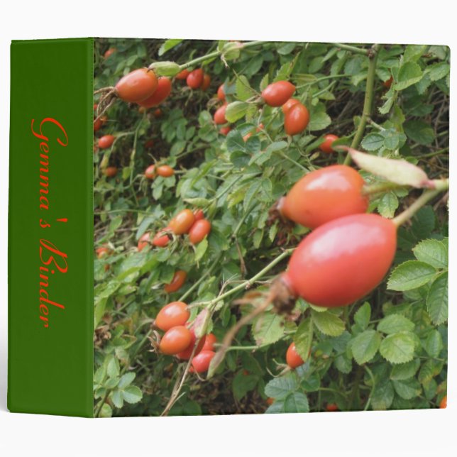 Classeur sur mesure des lèvres rouges juteuses (Devant/Côté)