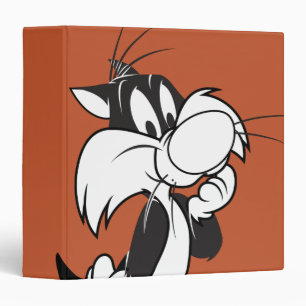 Classeur SYLVESTER™ Jr.