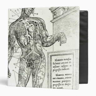 Classeur Système vasculaire selon Charles Etienne