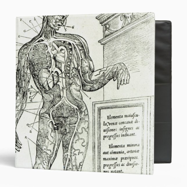 Classeur Système vasculaire selon Charles Etienne (Devant/Intérieur)
