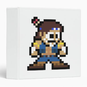 Classeur t. Hawk à 8 bits