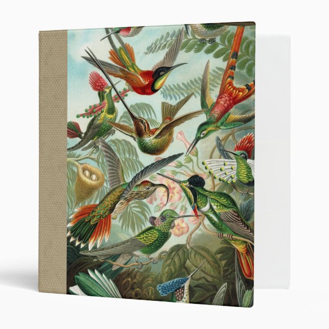 Classeur tableau classique de la faune des oiseaux colibris (Devant/intérieur)