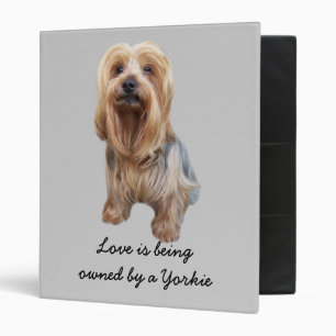 Classeur tellement mignon de Yorkshire Terrier