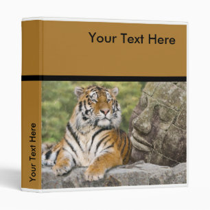 Classeur Temple tigre et bouddhiste