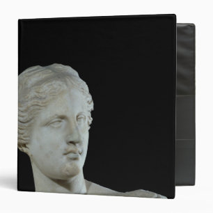 Classeur Tête de la Vénus de Milo, c.100 AVANT JÉSUS CHR