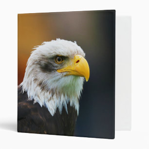 Classeur Tête d'un aigle à tête blanche Haliaeetus Leuco
