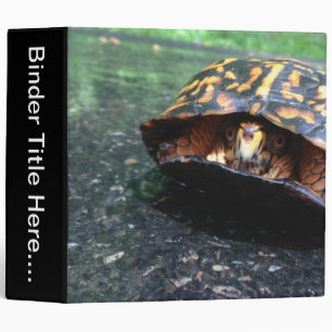 Classeur Tortue à boîte - 2"