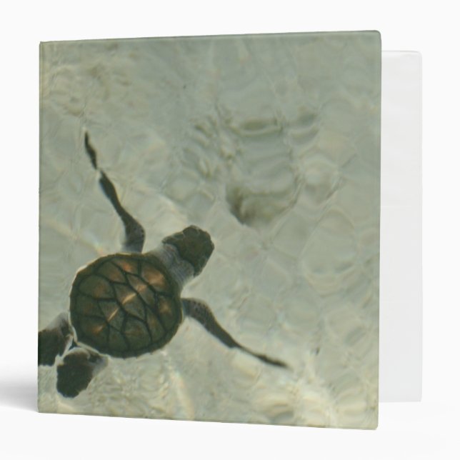 Classeur Tortue de mer de bébé nageant à la mer (Devant/Intérieur)