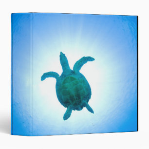 Classeur Tortue de mer nageant sous l'eau