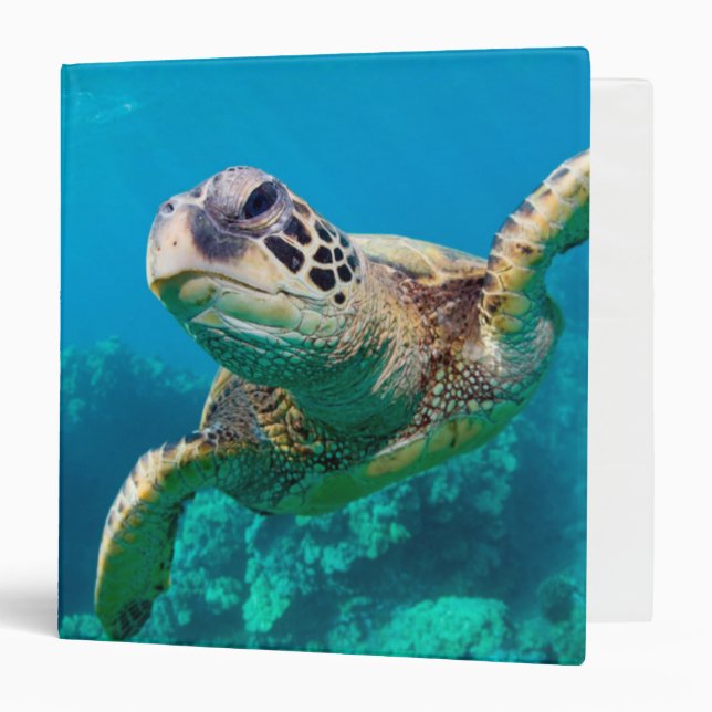 Classeur Tortue de mer verte nageant au-dessus du récif (Devant/Intérieur)