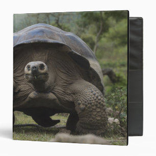 Classeur Tortues géantes des Galapagos Geochelone