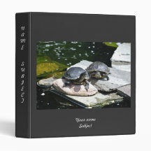 Tortues jumelles -