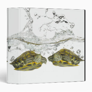 Classeur Tortues rouges de glisseur