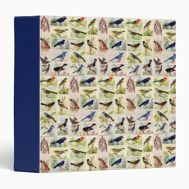Classeur Toutes sortes d'oiseaux (Devant/Côté)