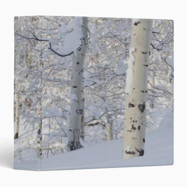 Classeur Tremblements couverts de neige, crête de désolatio (Devant/Côté)