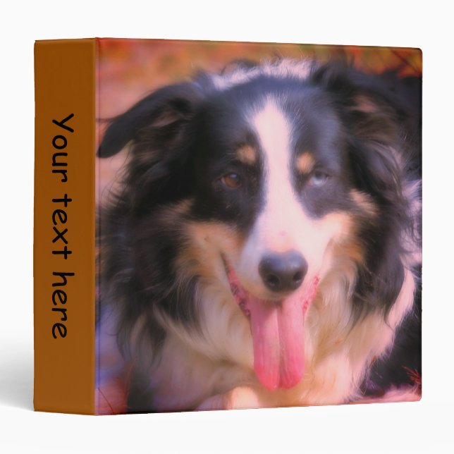 Classeur Tri Couleur Bordure Collie Face Personnalisée (Devant/Côté)