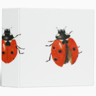 Classeur Trois coccinelles 2013