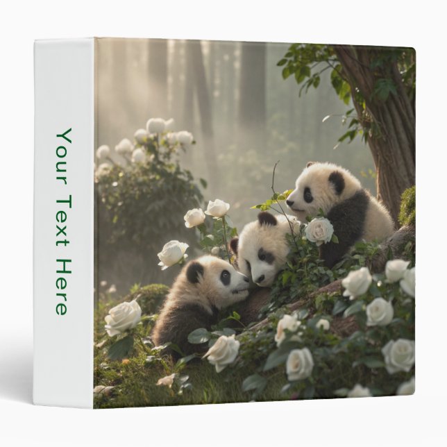 Classeur Trois mignons Pandas (Devant/Côté)