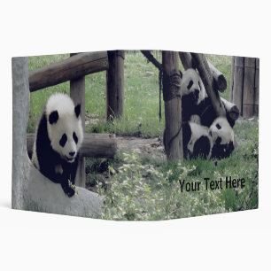 Classeur Trois pandas pour bébés - Personnalisable
