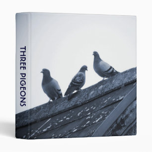 Classeur Trois pigeons sur un toit (1in)