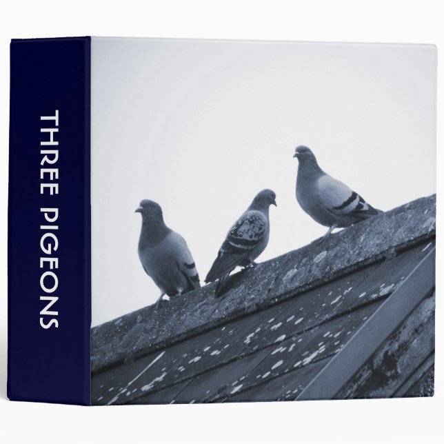 Classeur Trois pigeons sur un toit (2po) (Devant/Côté)